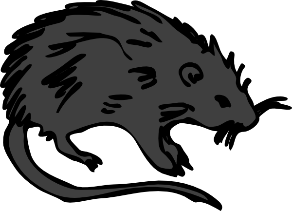 Black Rat clip art - vector clip art online, royalty free & public ...