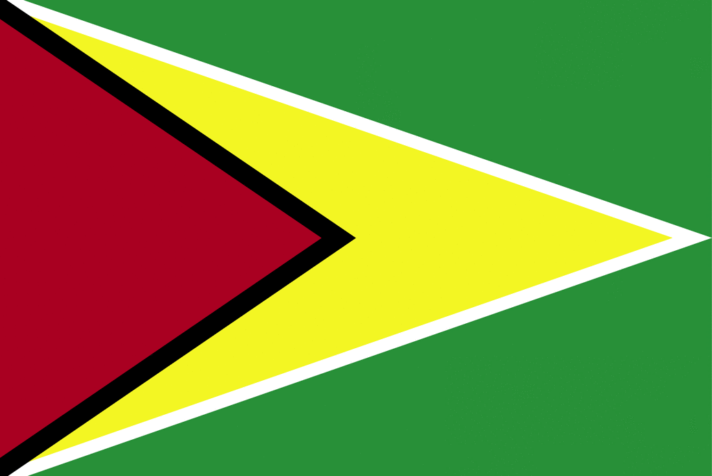 Flag of Guyana, 2009 | ClipArt ETC