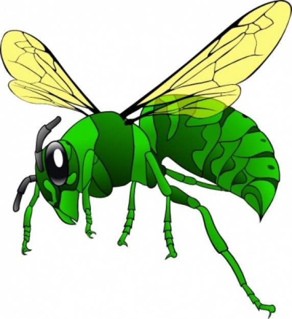 Green Hornet clip art Vector | Free Download