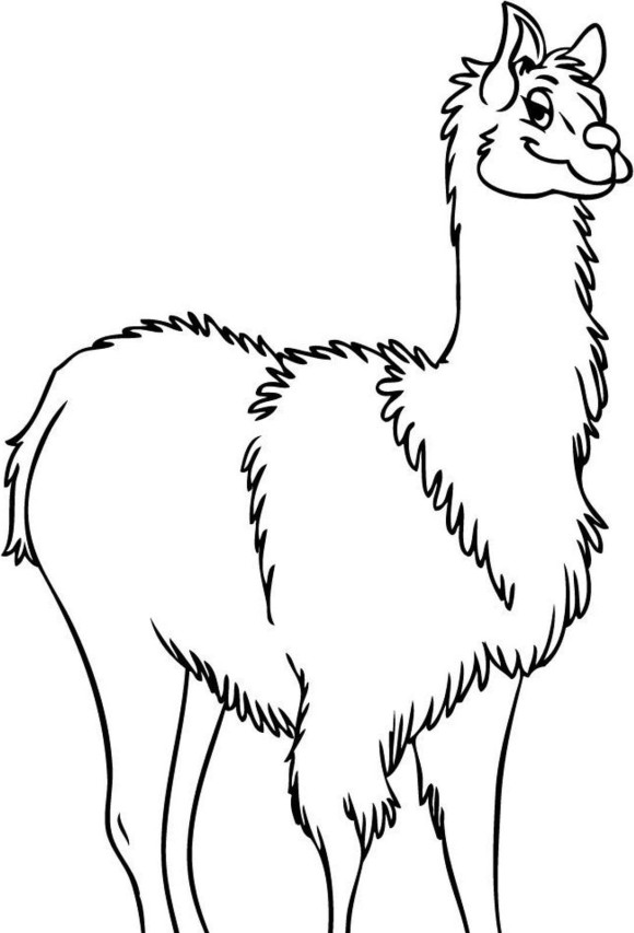 Free Llama Print Coloring Pages - Animal Coloring pages of ...