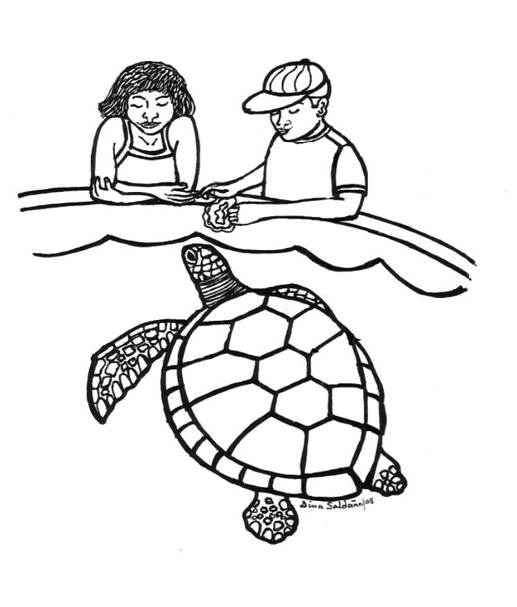 Loggerhead Sea Turtle Coloring Page/page/139 | Printable Coloring ...
