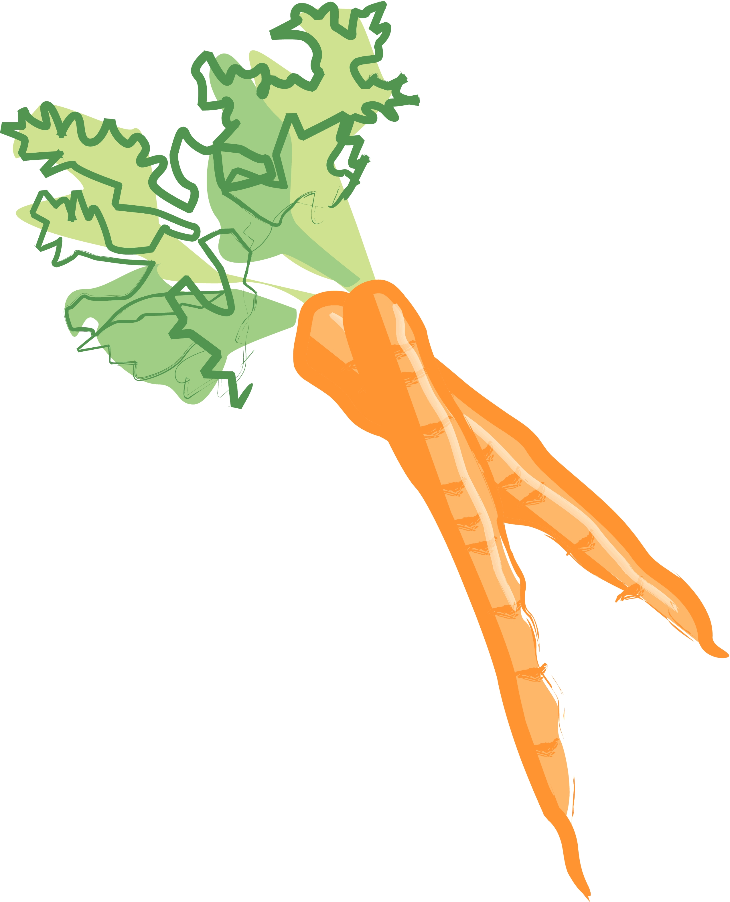 Images For > Celery Stalk Clip Art