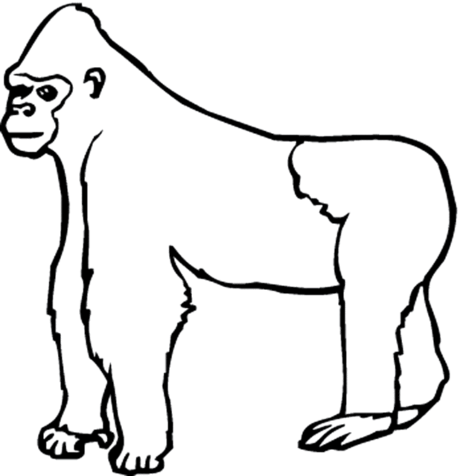 Free Gorilla coloring page. « | Clipart Panda - Free Clipart Images