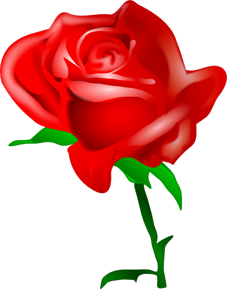 Red Rose clip art Free Vector / 4Vector