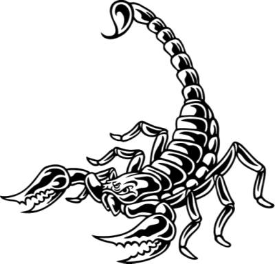 Scorpion Clipart - ClipArt Best