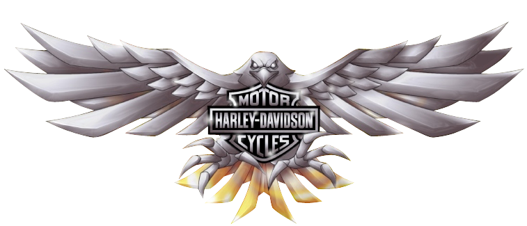 Harley Davidson Logo Street 749 X 500 80 Kb Jpeg | Top Harley ...