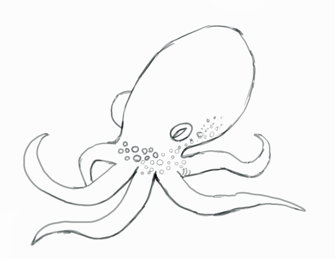 Simple Octopus Drawing For Kids Images & Pictures - Becuo