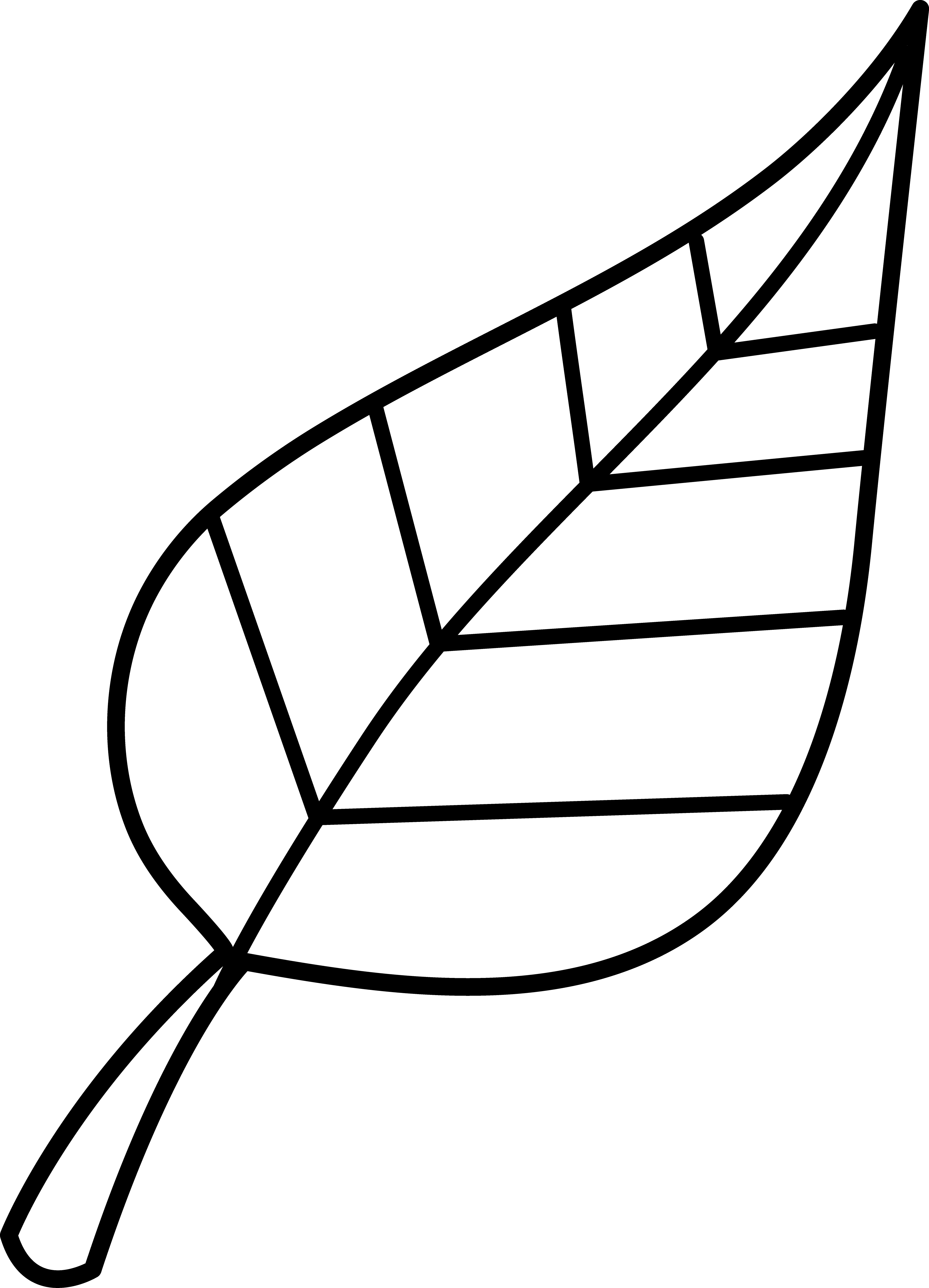 Leaf Line Art - Cliparts.co