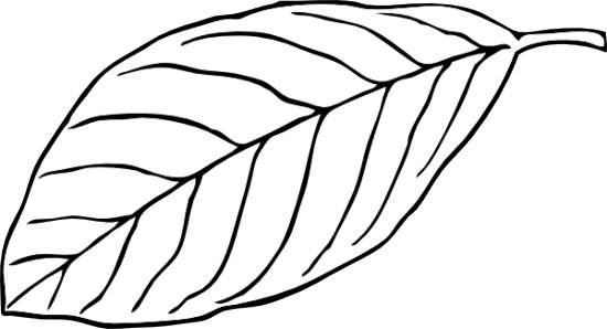 Clipart Leaves Black And White | Clipart Panda - Free Clipart Images