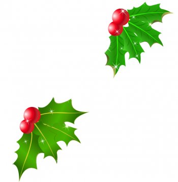 How To Draw Mistletoe - Cliparts.co