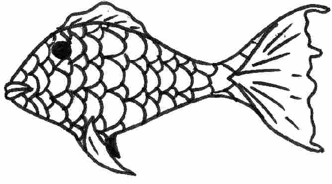 Fish Drawing For Kids