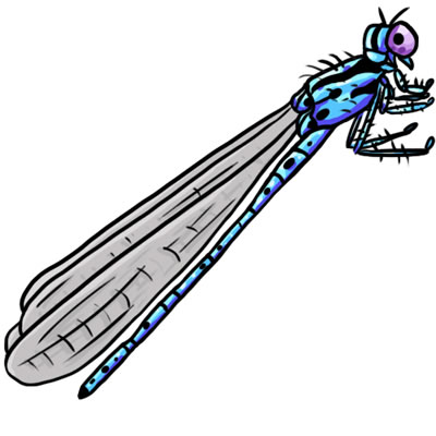 50 FREE Dragonfly Clip Art 15