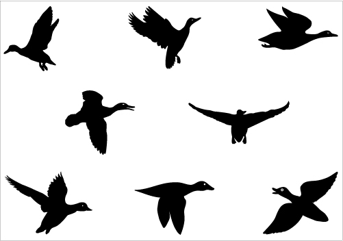 Flying Duck Silhouette | Clipart Panda - Free Clipart Images