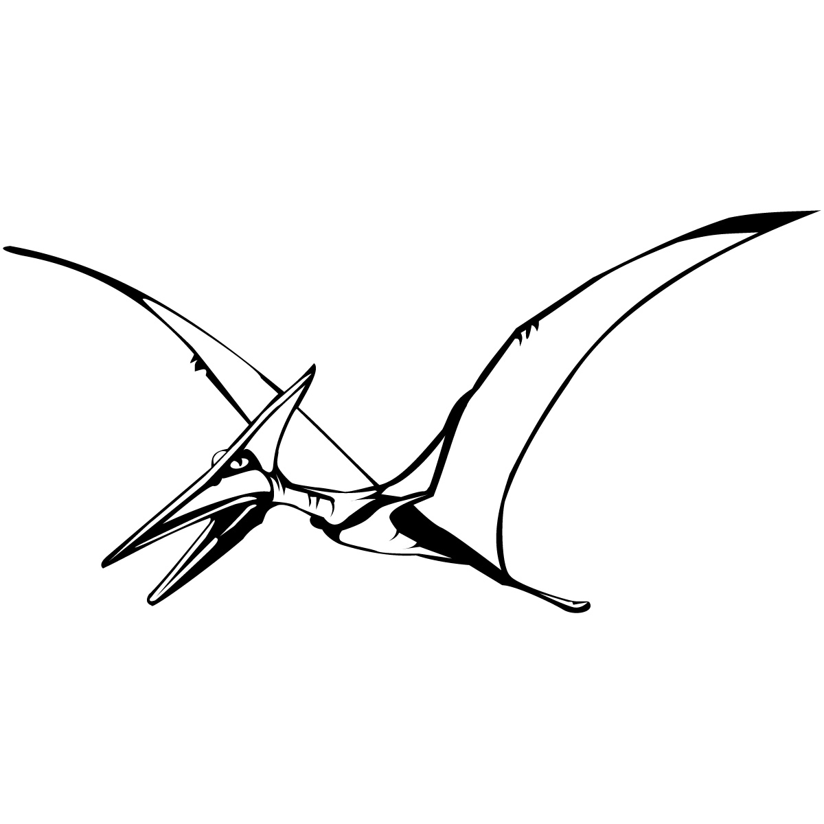 Flying Pterodactyl Dinosaurs Wall Art Sticker Wall Decal Transfers ...