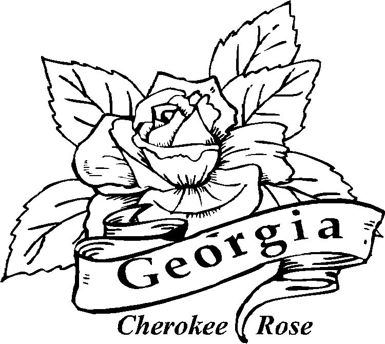Cherokee Rose Coloring Page