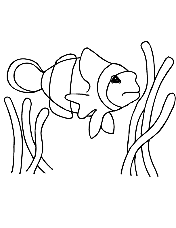 Free Printable Fish Coloring Pages | Printable Coloring Pages