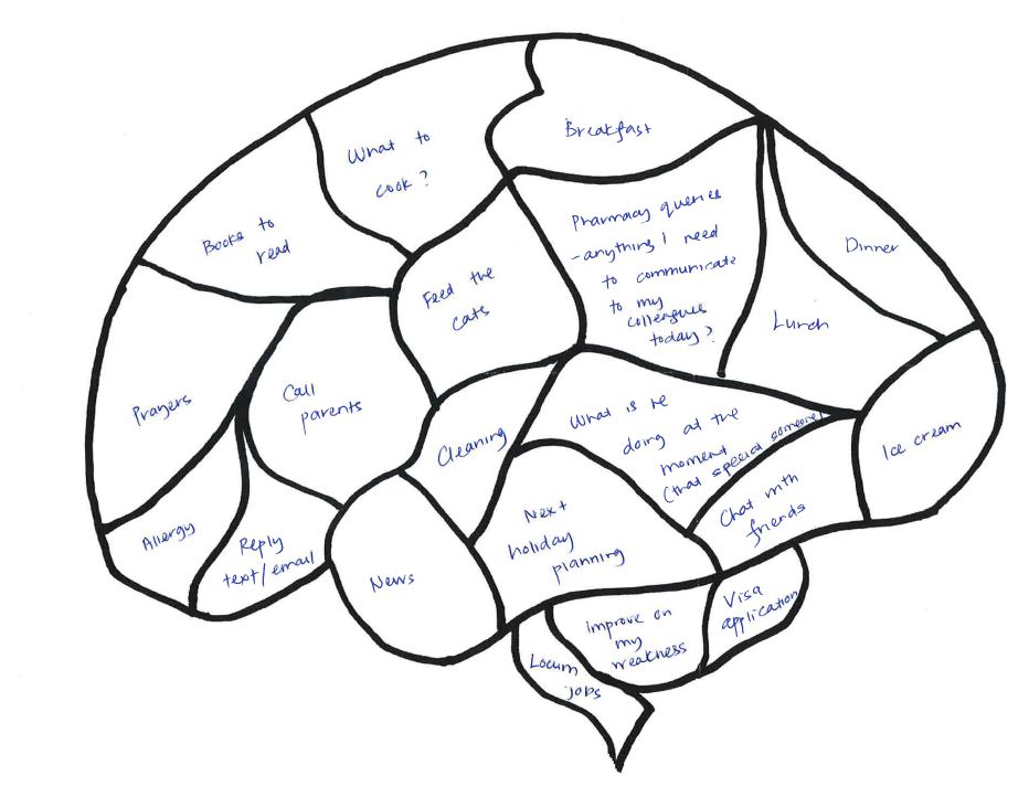 Unlabeled Brain Diagram