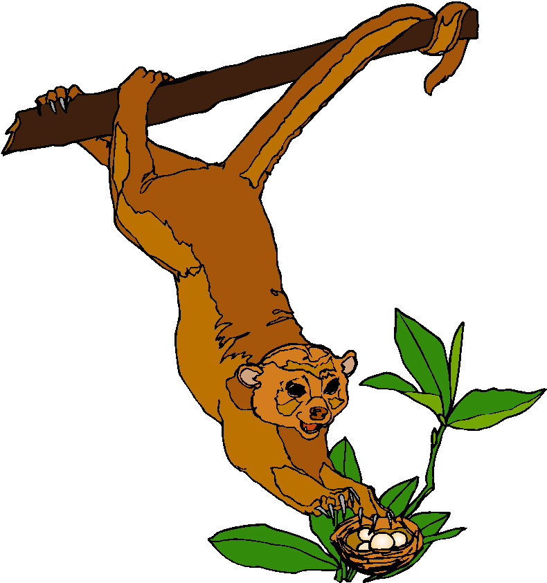 All Cliparts: Monkeys Clipart Gallery1