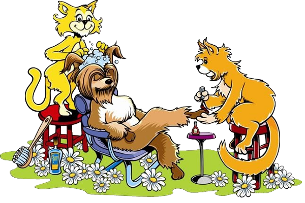 Funny Animal Grooming - Cartoon Animals Homepage