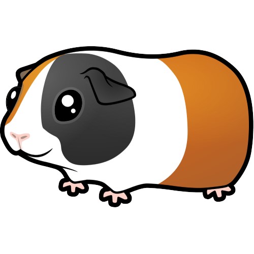 Cartoon Guinea Pig Pictures - Cliparts.co