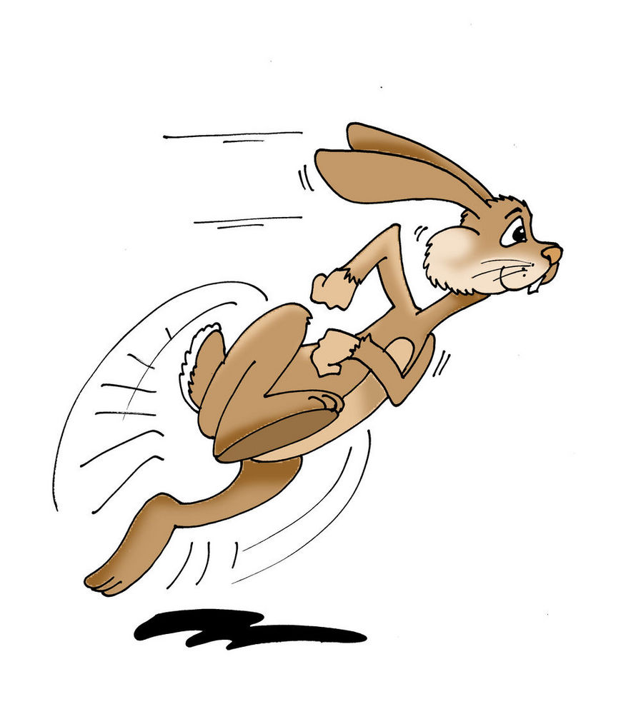 Running Rabbit Drawing - Gallery