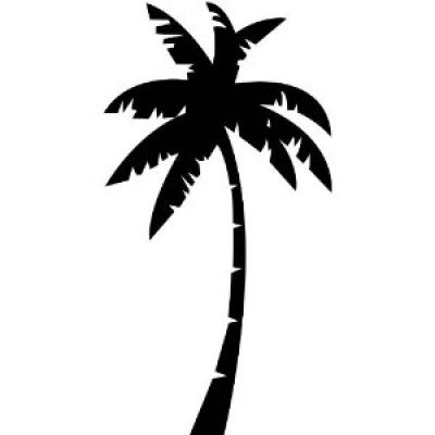 Palm Tree Silhouette | The Best Home Decor