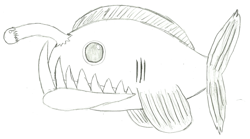 Angler Fish Drawing - Gallery