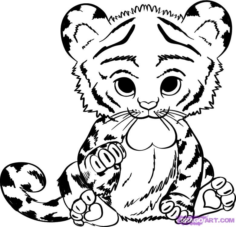 Cute Baby Tiger Coloring Pages Animals, how to draw a baby tiger ...
