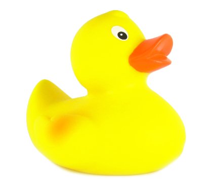 Amazon.com : Classic Yellow Rubber Ducky by Schylling : Bathtub ...