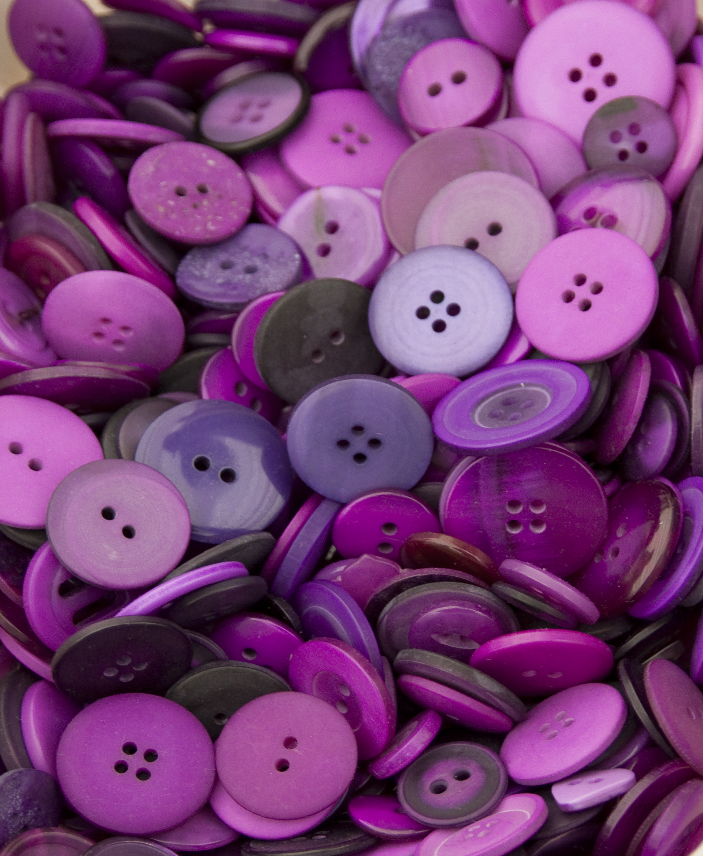 File:Purple buttons (3538662481).jpg - Wikimedia Commons