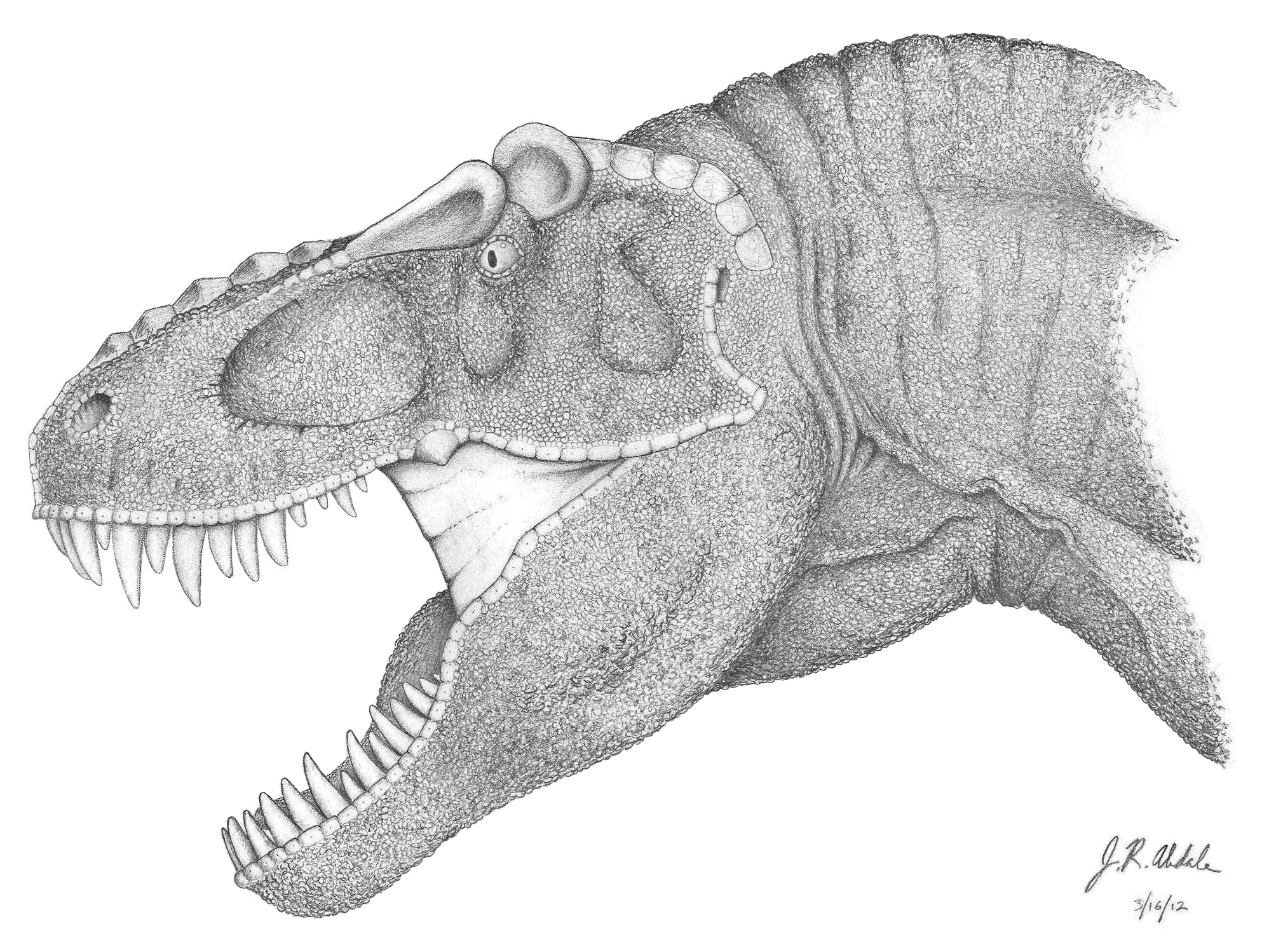 dinosaur sketch for pumpkin