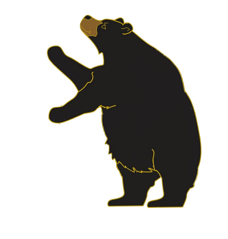Clipart Black Bear Images & Pictures - Becuo