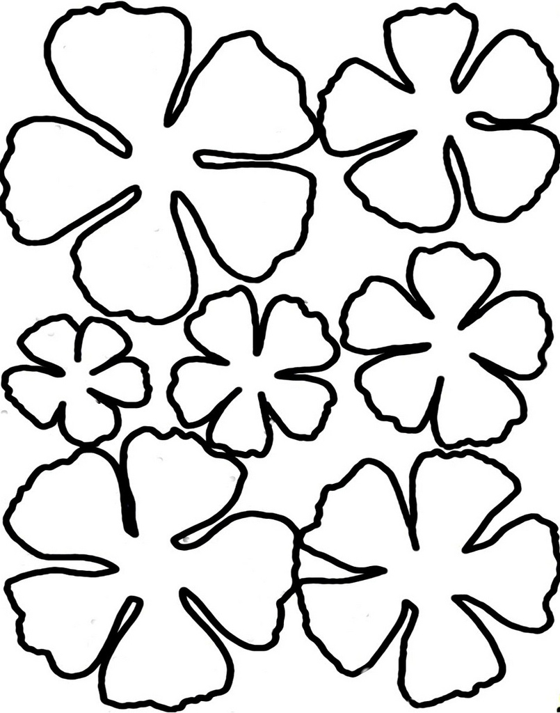 Cliparts Flower Petal Template Printable