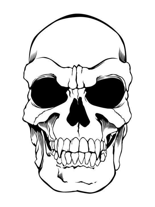 evil skull sketch image search results