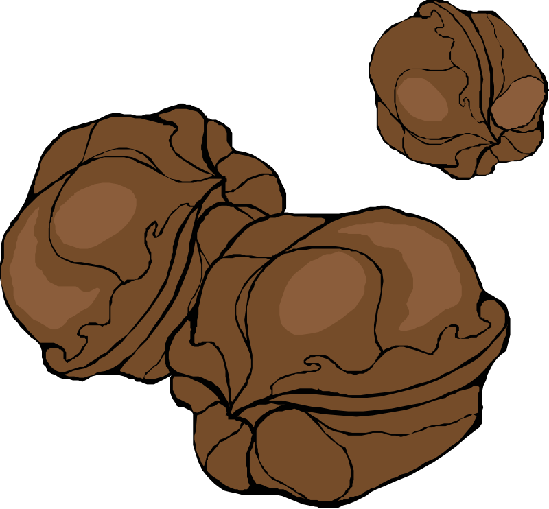clipart of nuts - photo #37