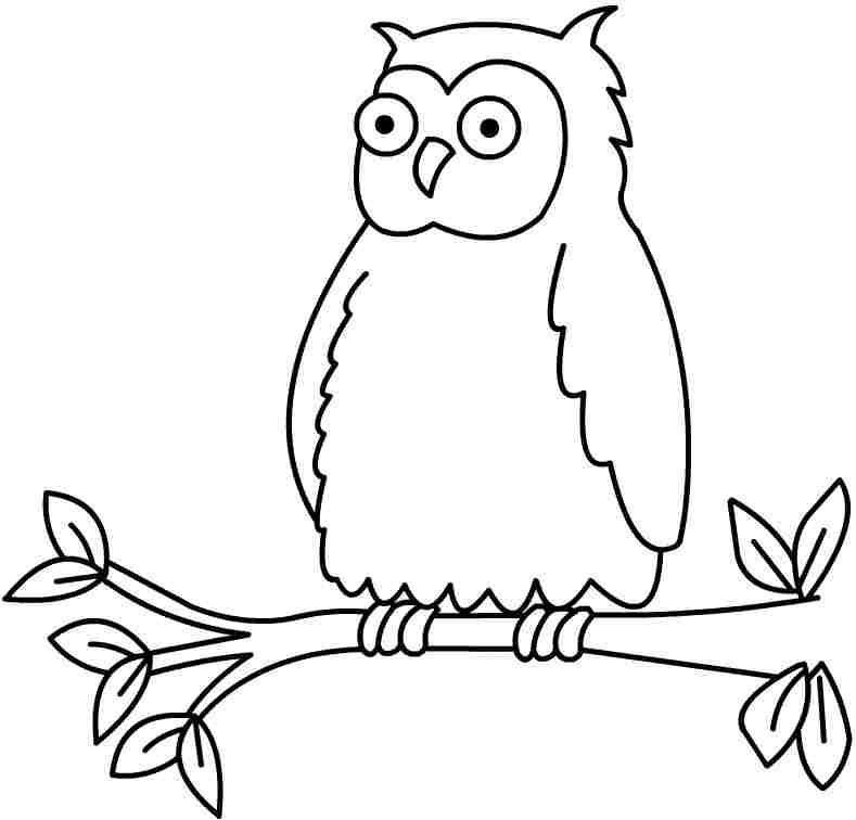 Animal Owl Colouring Pages Free For Kids & Boys - #