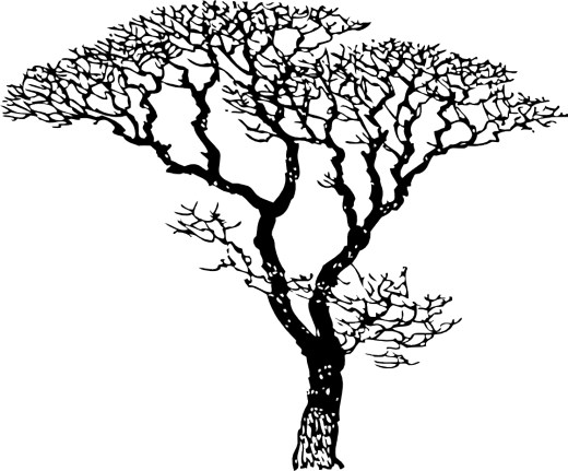 free black and white clipart of trees - photo #21
