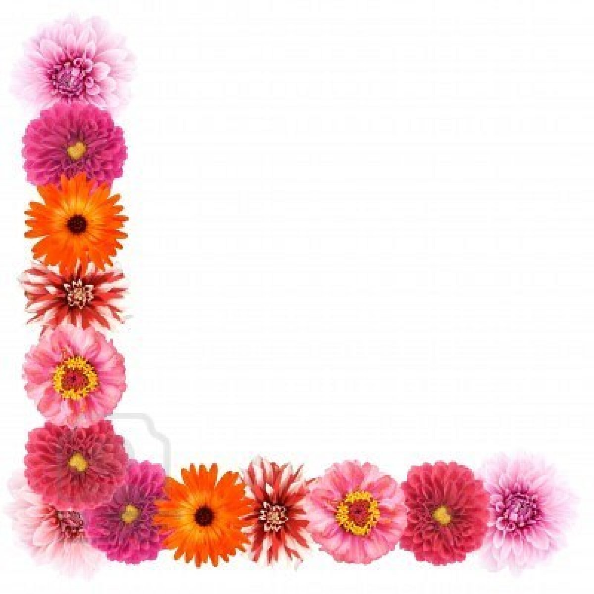 Flower Page Border - Cliparts.co