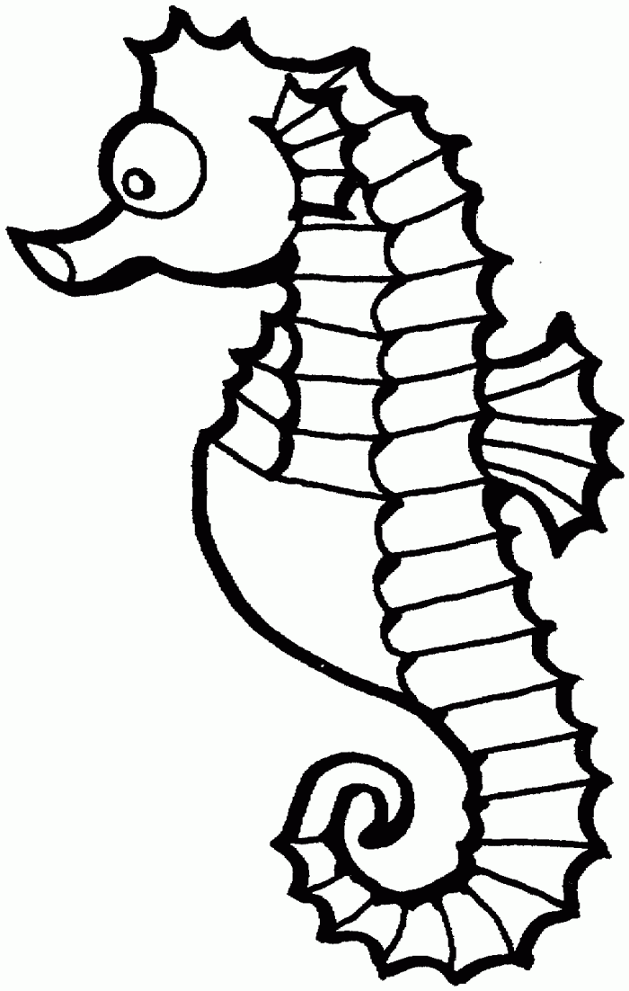 Sea Horse Coloring Page : Printable Coloring Book Sheet Online for ...