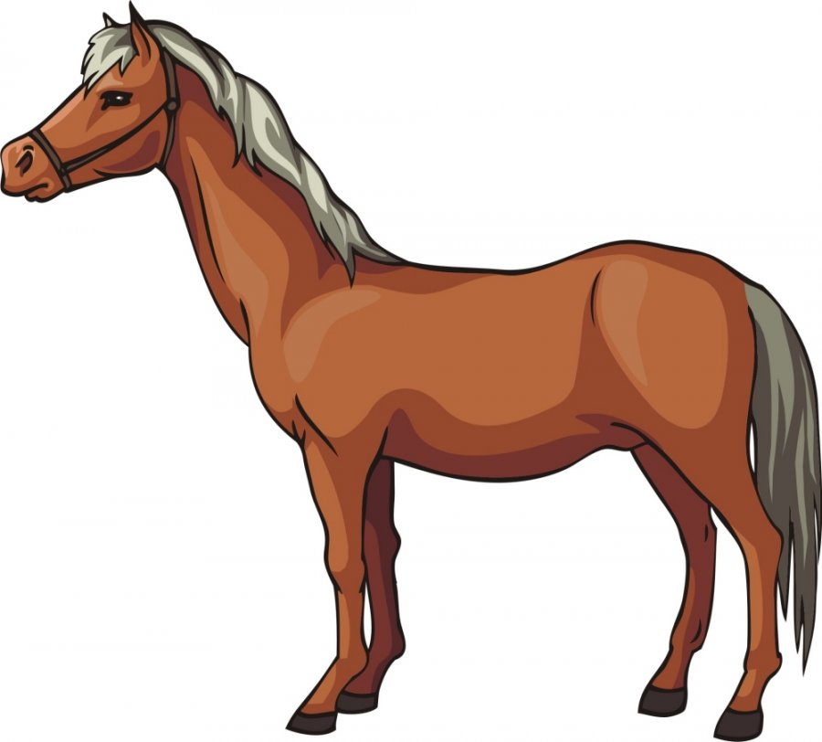 Free Horse Vector Graphics #16 - Highland Pony