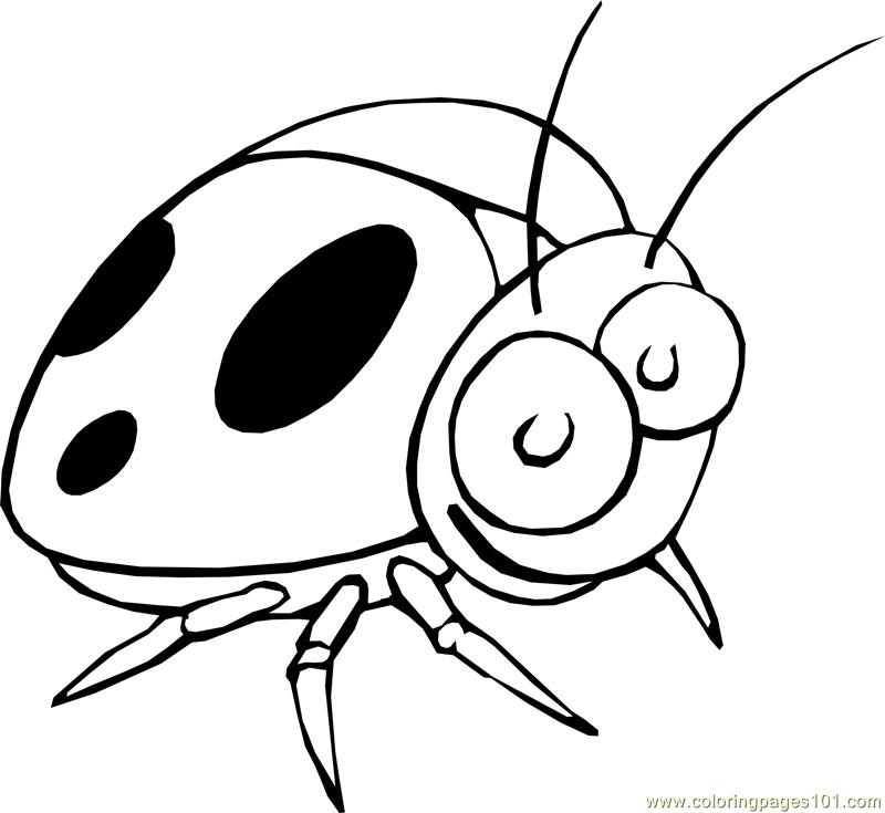 Coloring Pages Ladybug (Insects > ladybugs) - free printable ...