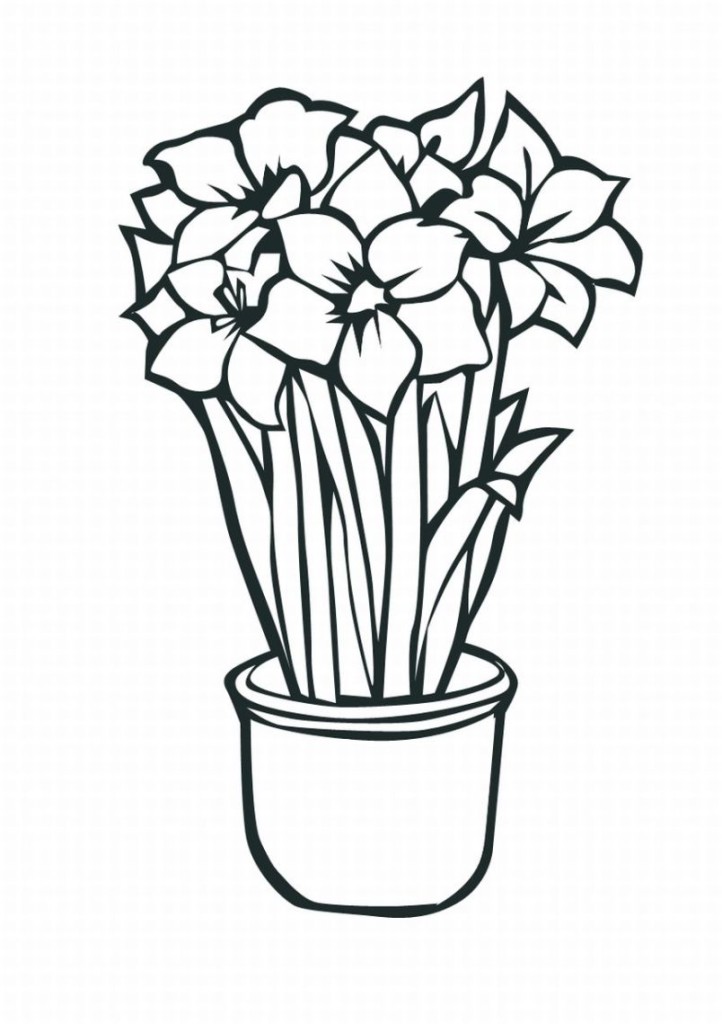Latest Tropical Flower Coloring Pages Lrg - deColoring