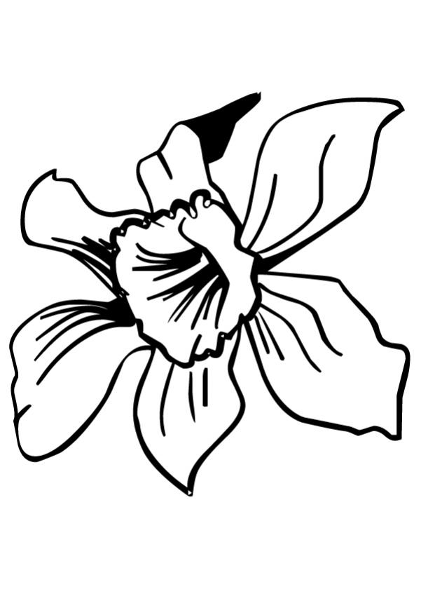 Coloriage de fleurs - Fleur de Tiaré