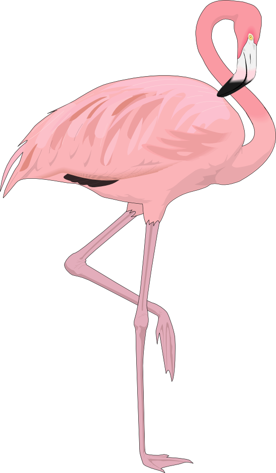 Free to Use & Public Domain Flamingo Clip Art