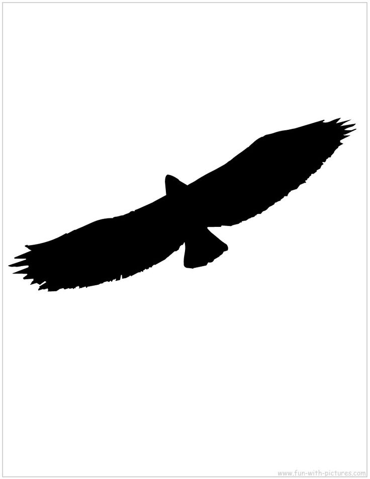 Flying Eagle Silhouette | Tattoo Ideas | Pinterest