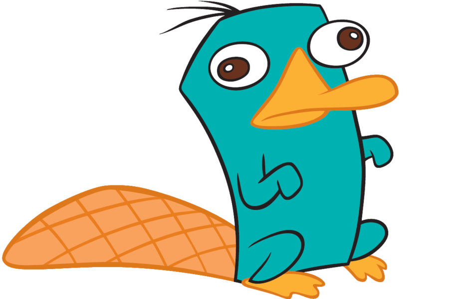 Perry The Platypus PNG by NickyNicole19 on deviantART