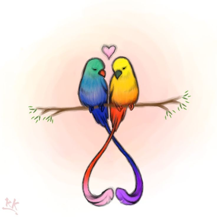 Love Birds! | Idea's!!! | Pinterest