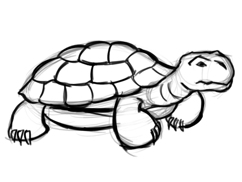 Tortoise clip art | Clipart Panda - Free Clipart Images