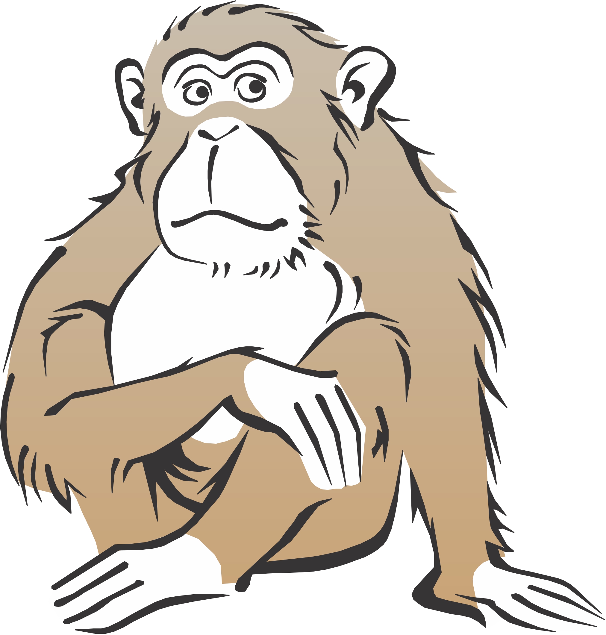 Monkeys Pictures Cartoon - Cliparts.co