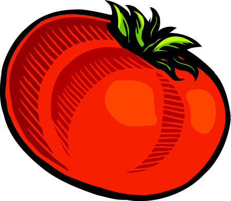 Stock Illustration - Illustration of a tomato